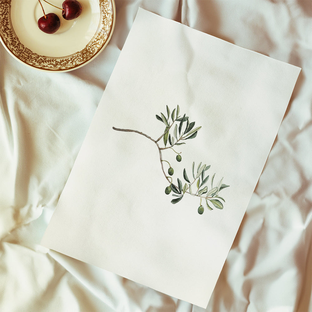 Botanický plakát větvička olivovníku