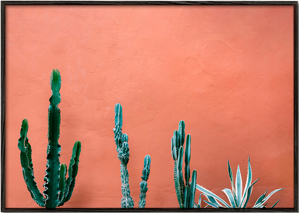 Botanický plakát s kaktusy na terakotové zdi – Black Frame