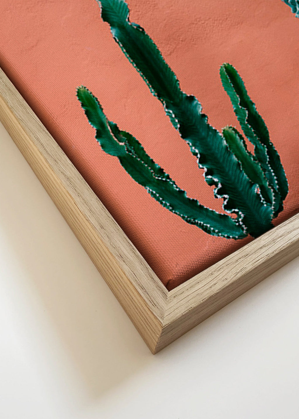 Botanický plakát s kaktusy na terakotové zdi – Canvas detail