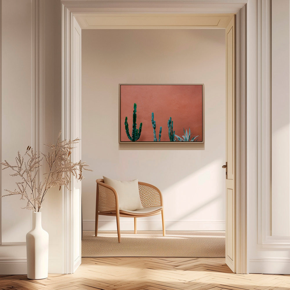 Botanický plakát s kaktusy na terakotové zdi – Canvas1