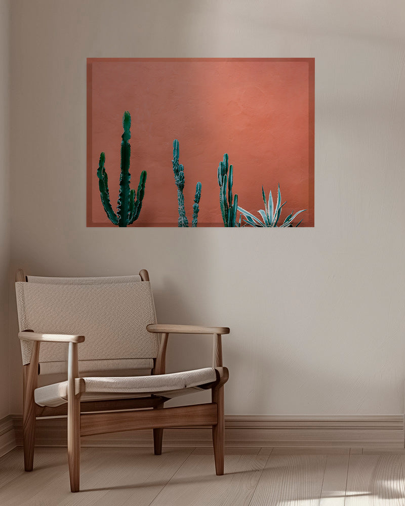 Botanický plakát s kaktusy na terakotové zdi – Canvas