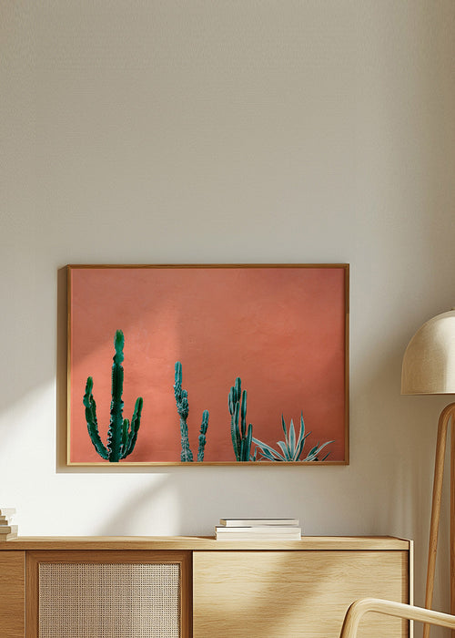 Botanický plakát s kaktusy na terakotové zdi – Product1