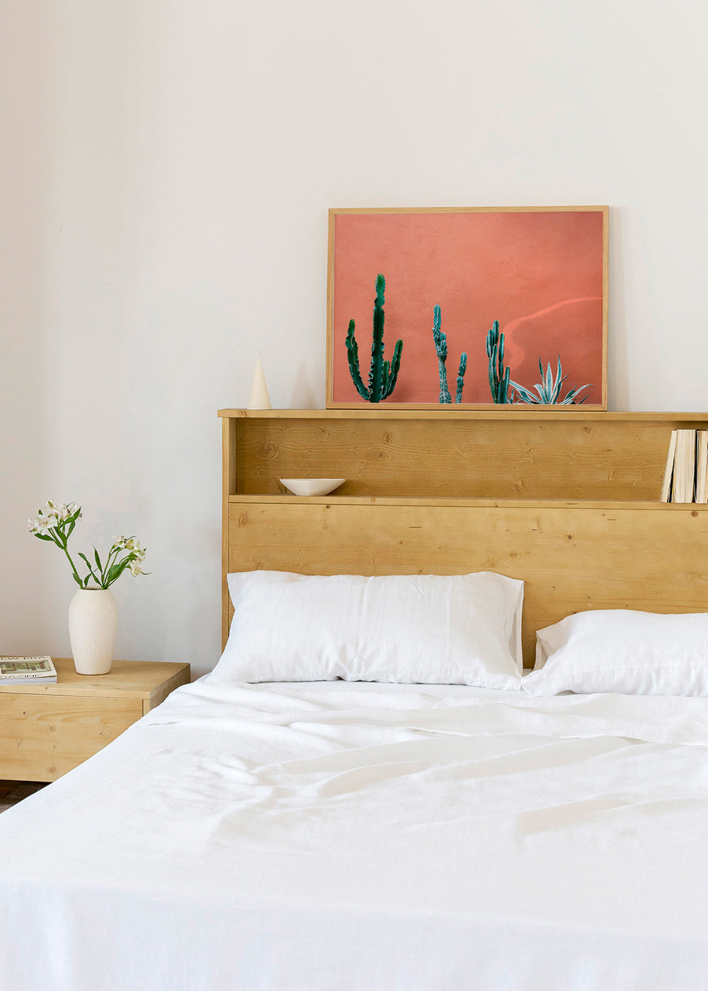 Botanický plakát s kaktusy na terakotové zdi – Product3