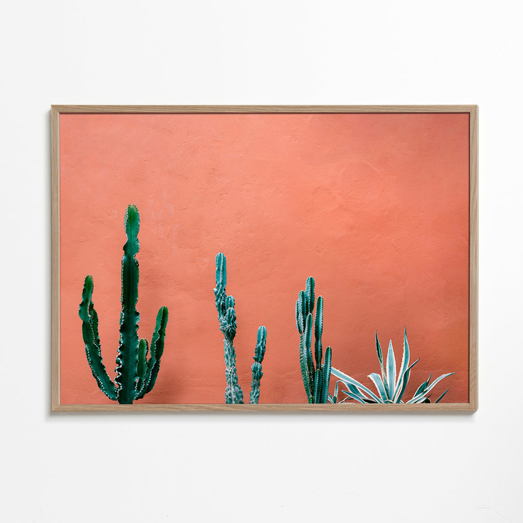 Botanický plakát s kaktusy na terakotové zdi – Oak Frame