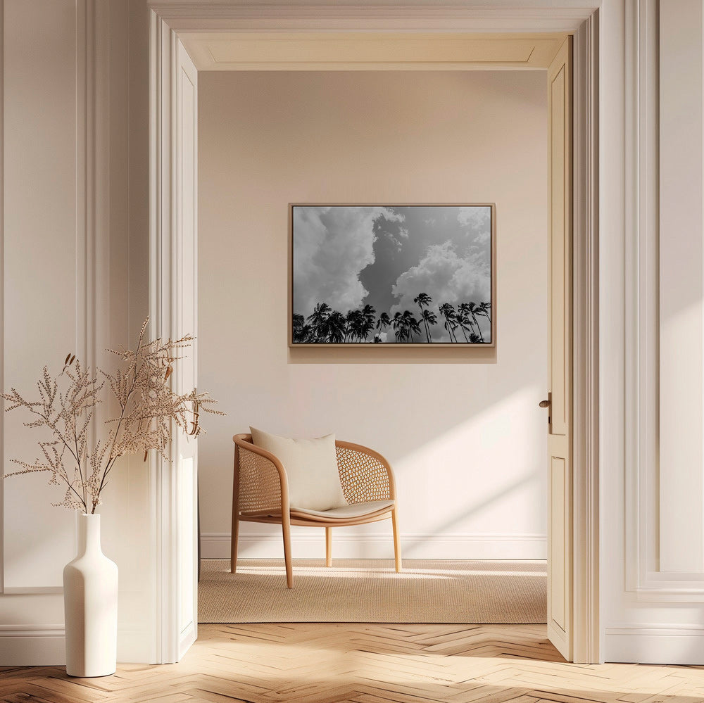 Krajinářské umění s palmami a dramatickou oblohou – Canvas1