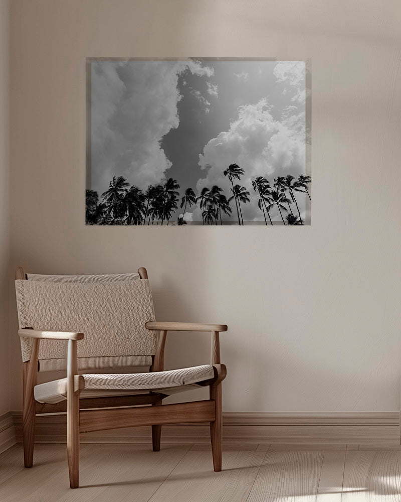 Krajinářské umění s palmami a dramatickou oblohou – Canvas