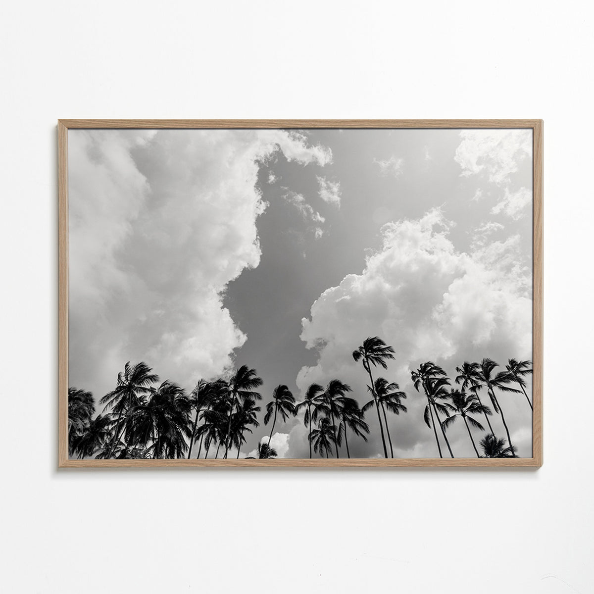 Krajinářské umění s palmami a dramatickou oblohou – Oak Frame