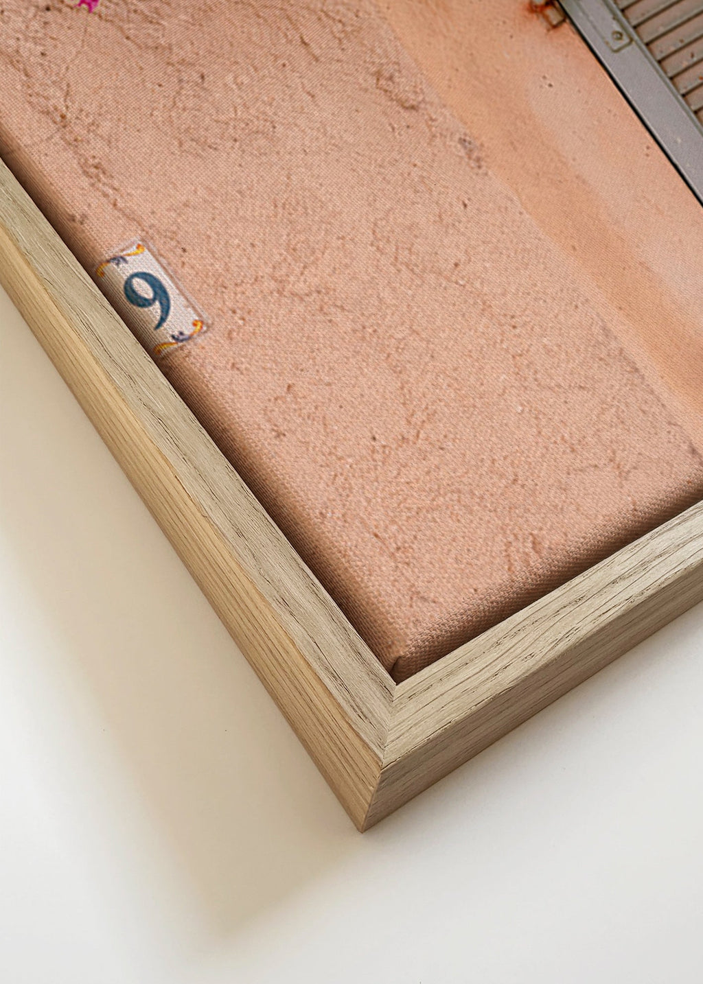 Botanický plakát: bugainvílie nad starými dveřmi – Canvas detail