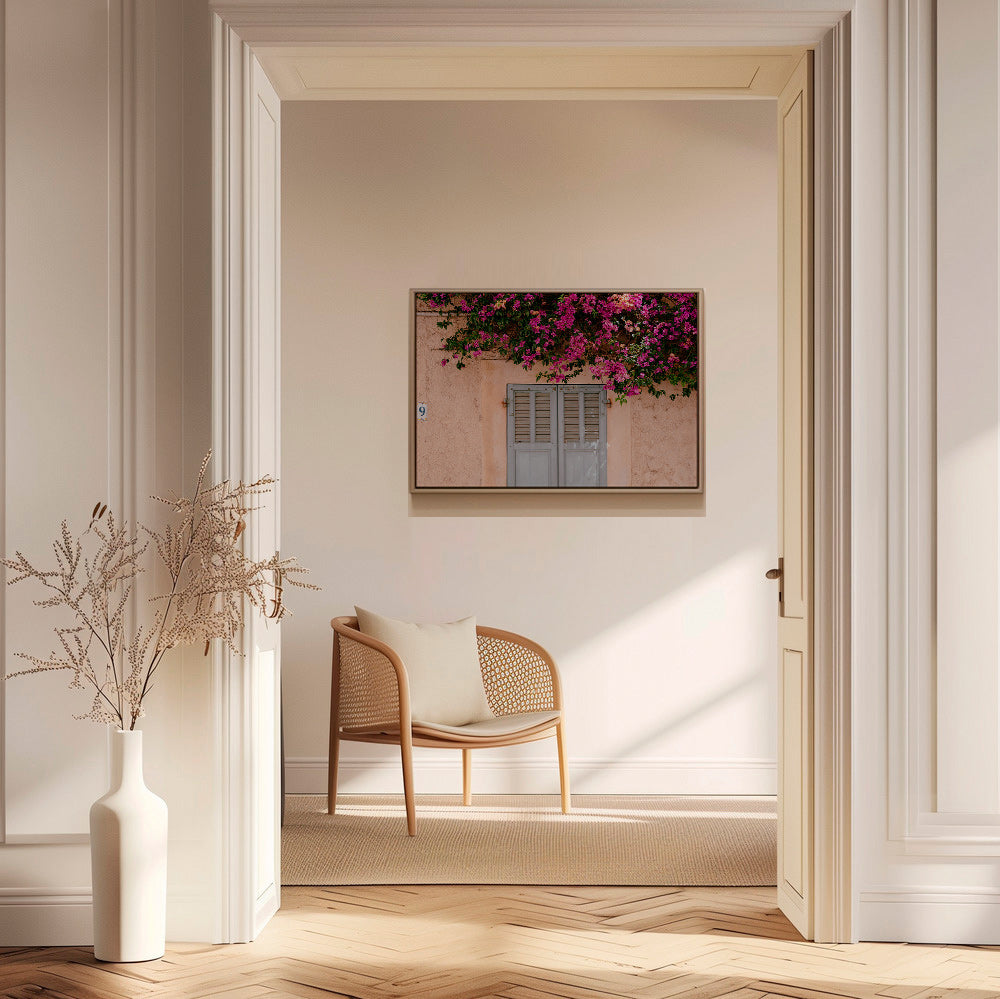 Botanický plakát: bugainvílie nad starými dveřmi – Canvas2