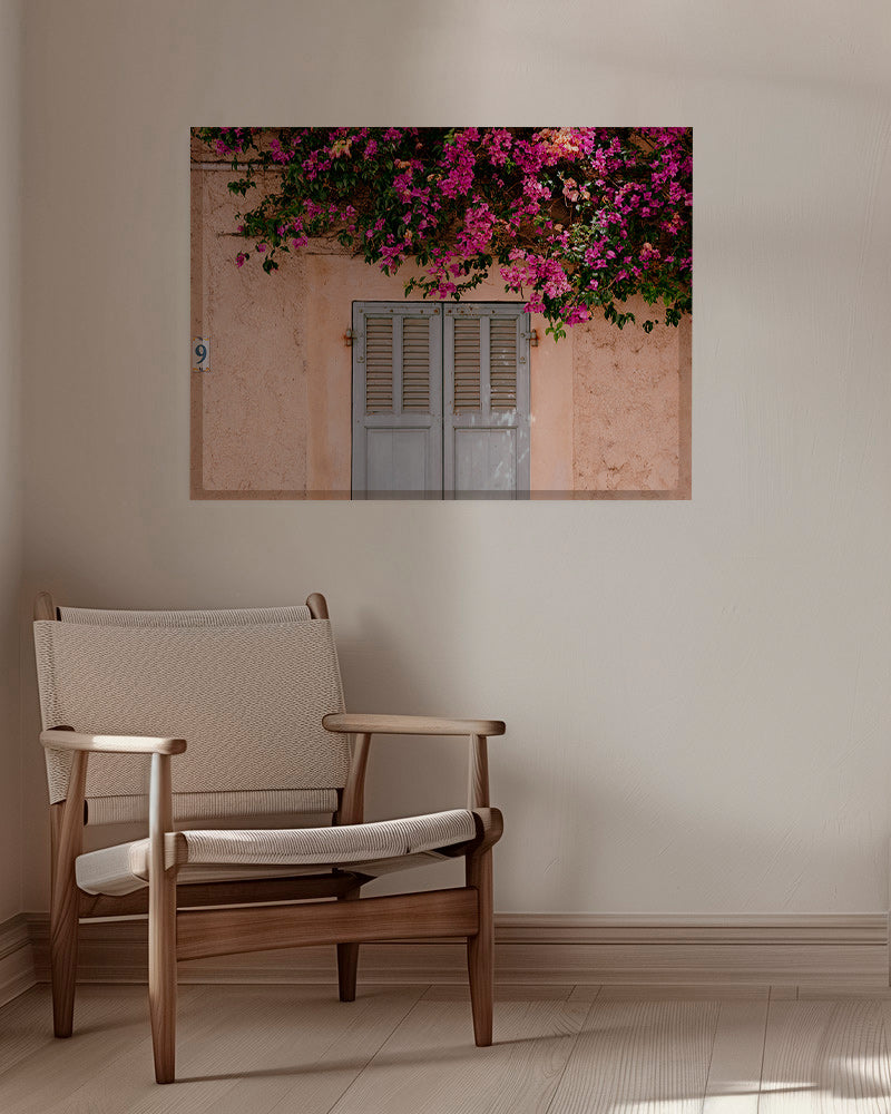 Botanický plakát: bugainvílie nad starými dveřmi – Canvas