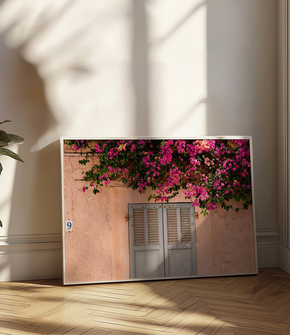 Botanický plakát: bugainvílie nad starými dveřmi – Product2
