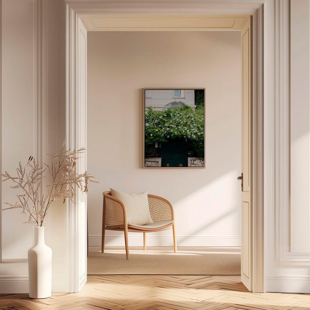 Botanický plakát s bílou popínavou rostlinou u brány – Canvas1