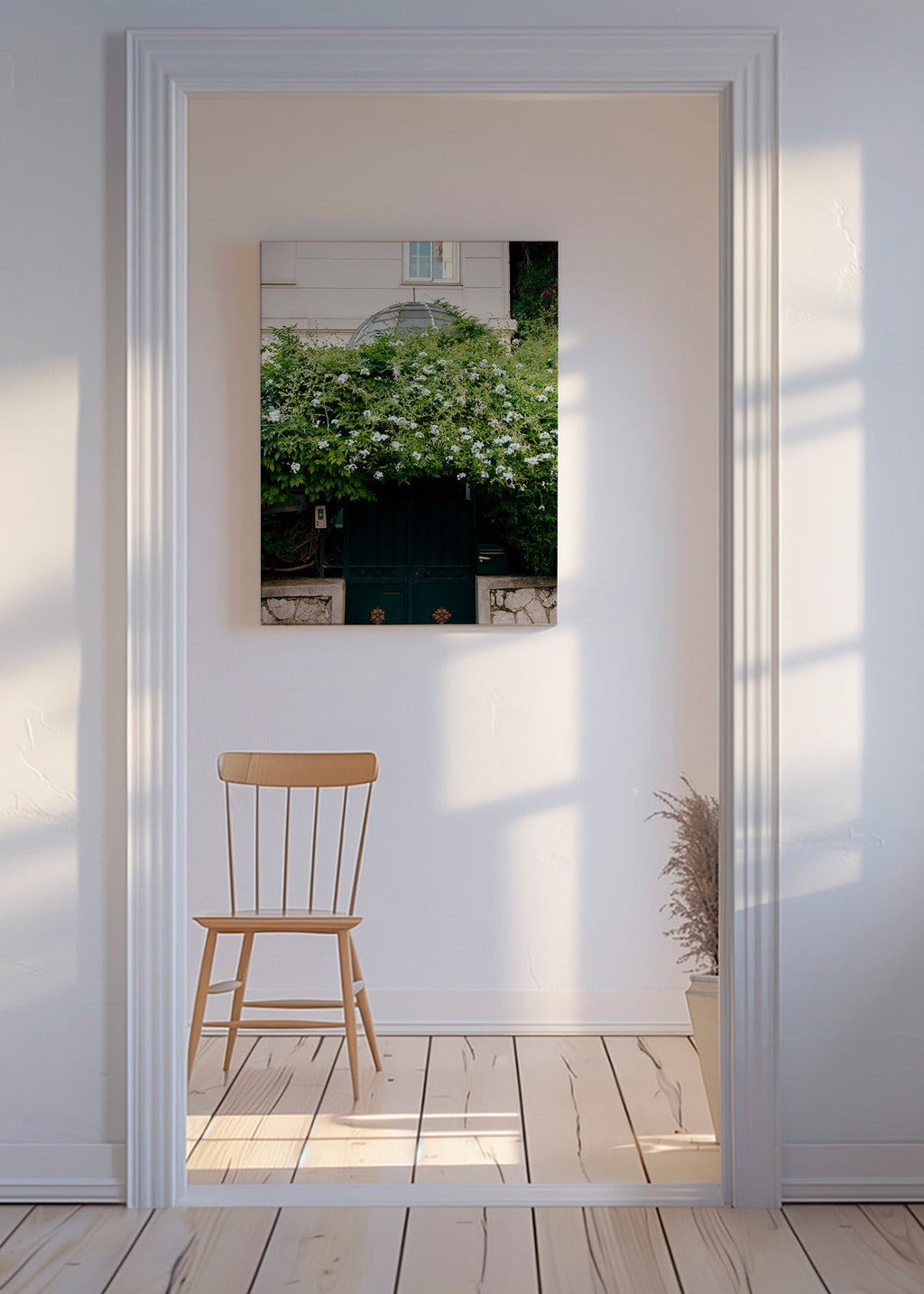 Botanický plakát s bílou popínavou rostlinou u brány – Canvas