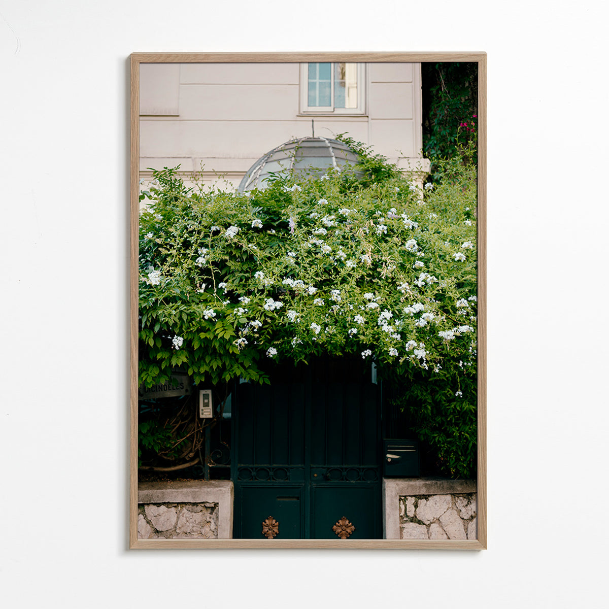 Botanický plakát s bílou popínavou rostlinou u brány – Oak Frame