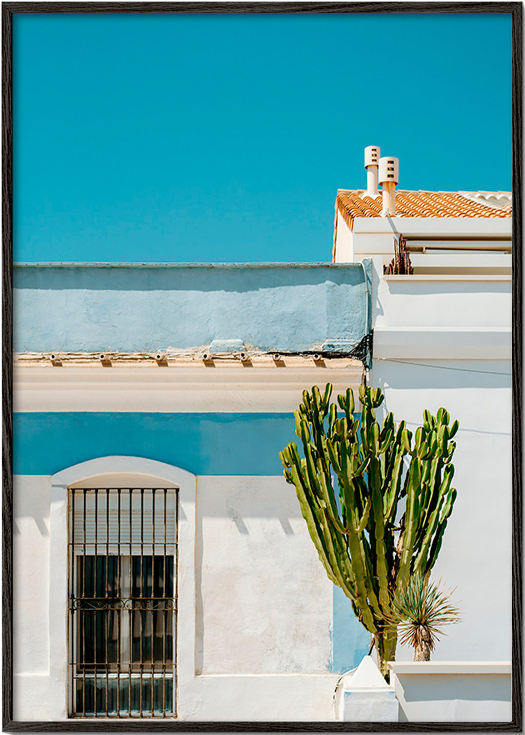 Botanický plakát: středomořská fasáda s kaktusem – Black Frame