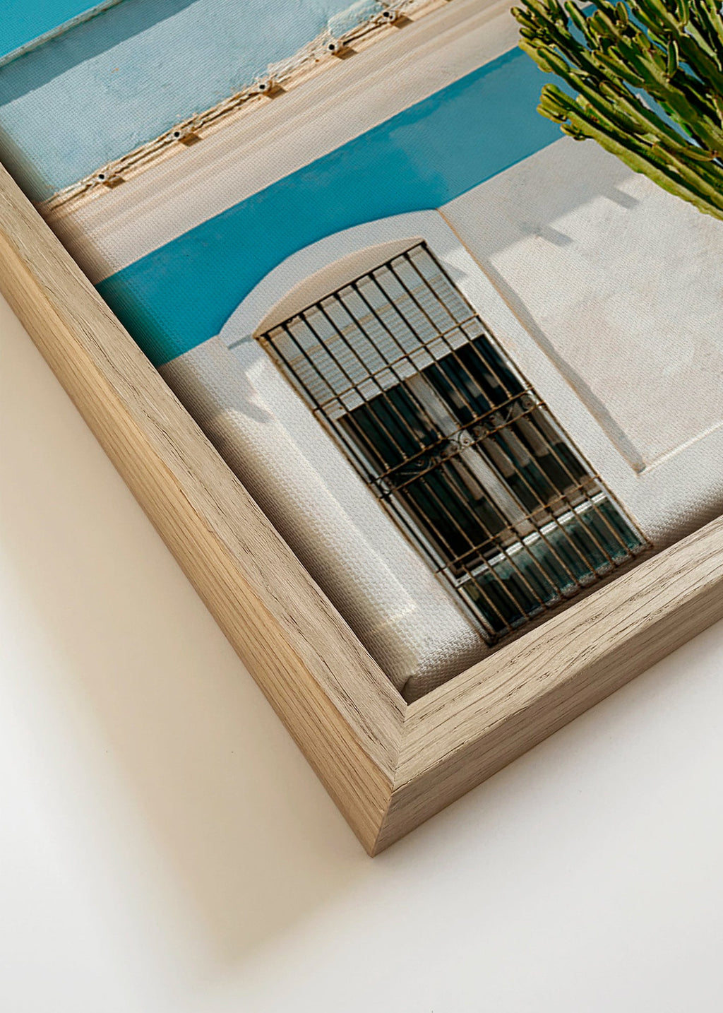 Botanický plakát: středomořská fasáda s kaktusem – Canvas detail