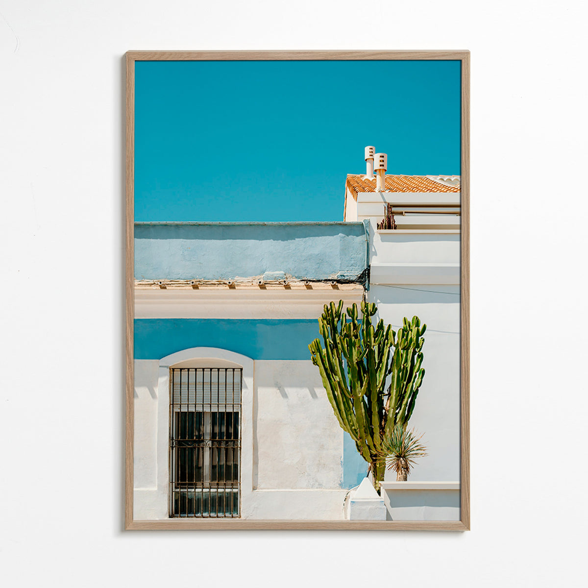 Botanický plakát: středomořská fasáda s kaktusem – Oak Frame