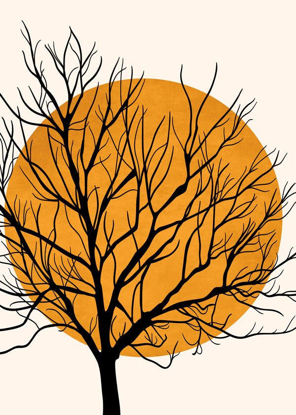 Botanický plakát: silueta stromu s oranžovým sluncem