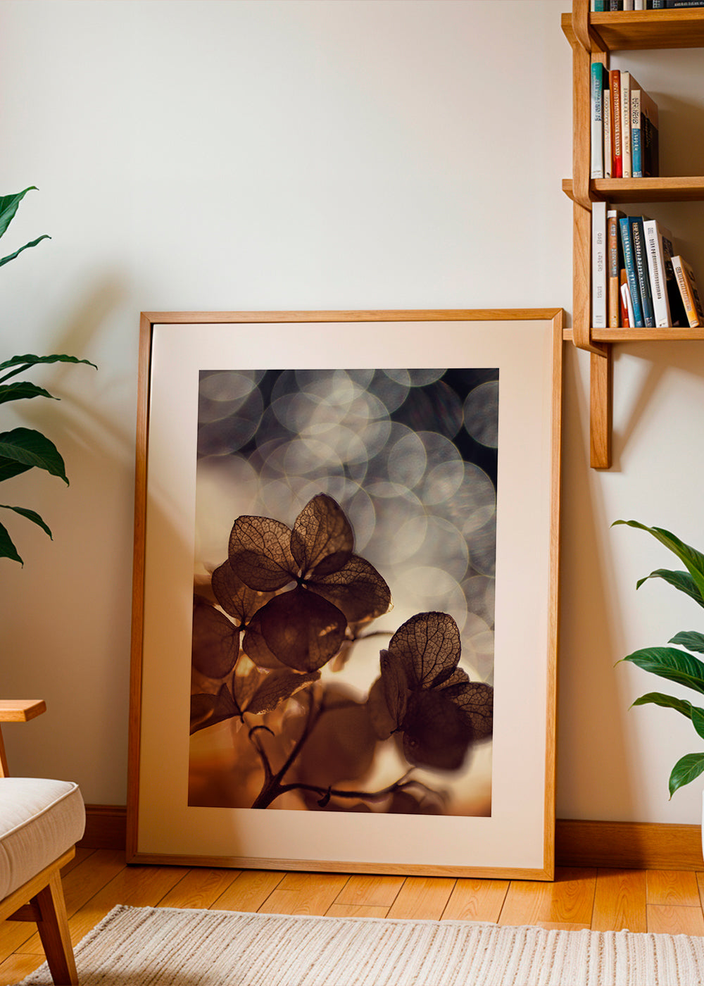 Botanický plakát: suché květy v jemném bokeh