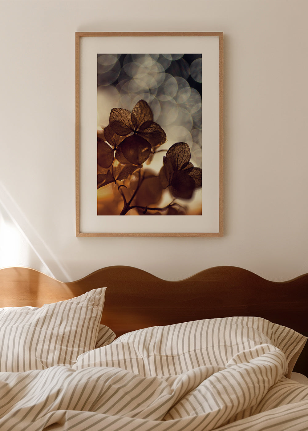 Botanický plakát: suché květy v jemném bokeh