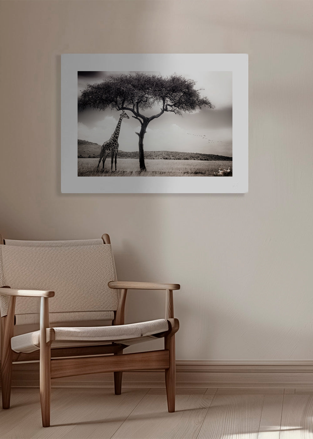 Žirafa na savaně fotografie