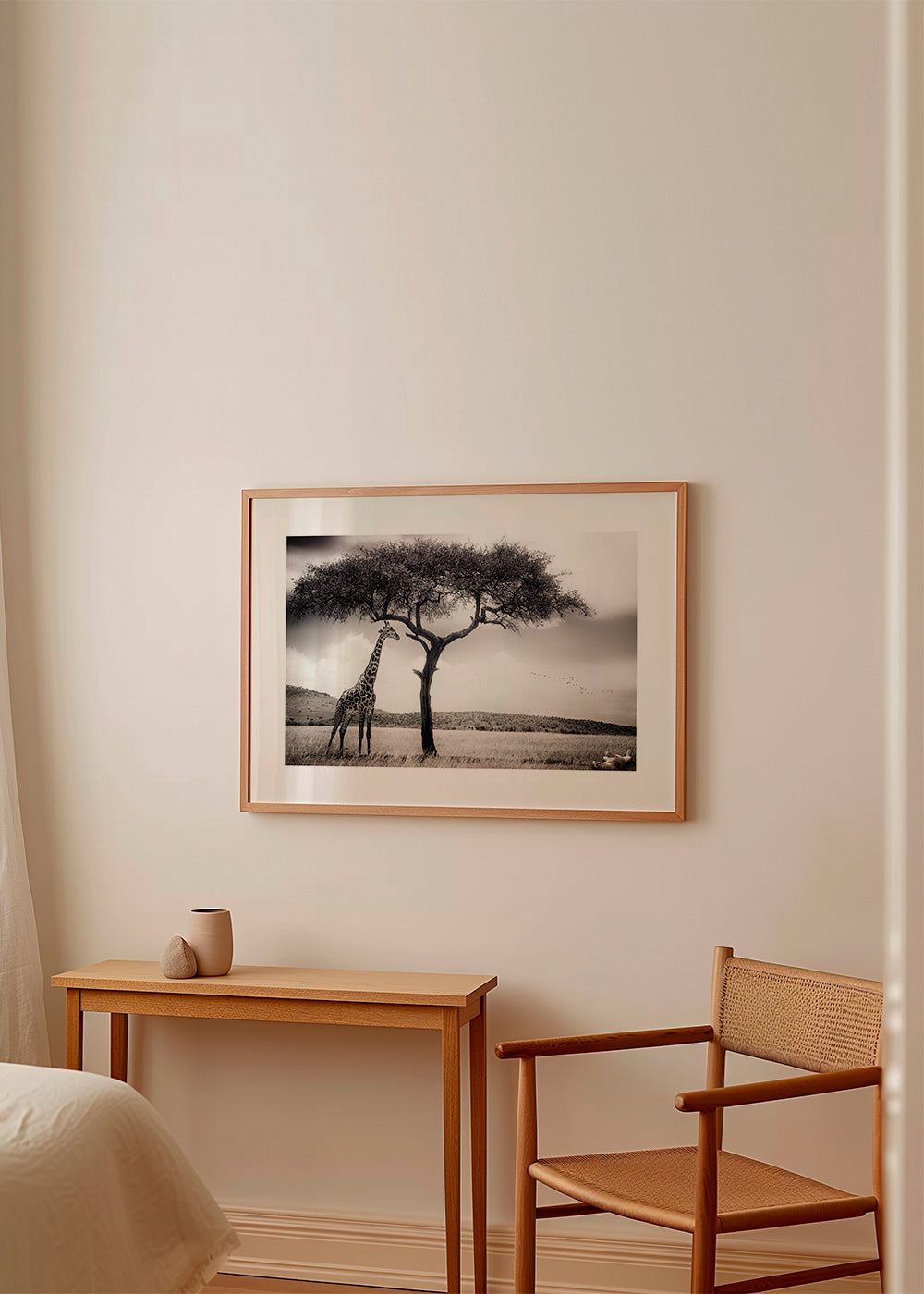Žirafa na savaně fotografie