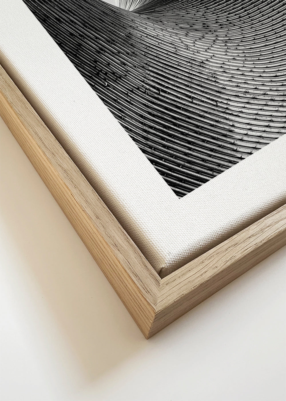 Architektonická fotografie zakřivených linií