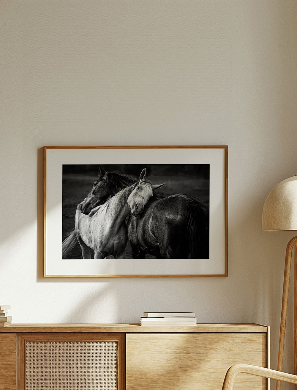 Fotografie koní v intimním gestu