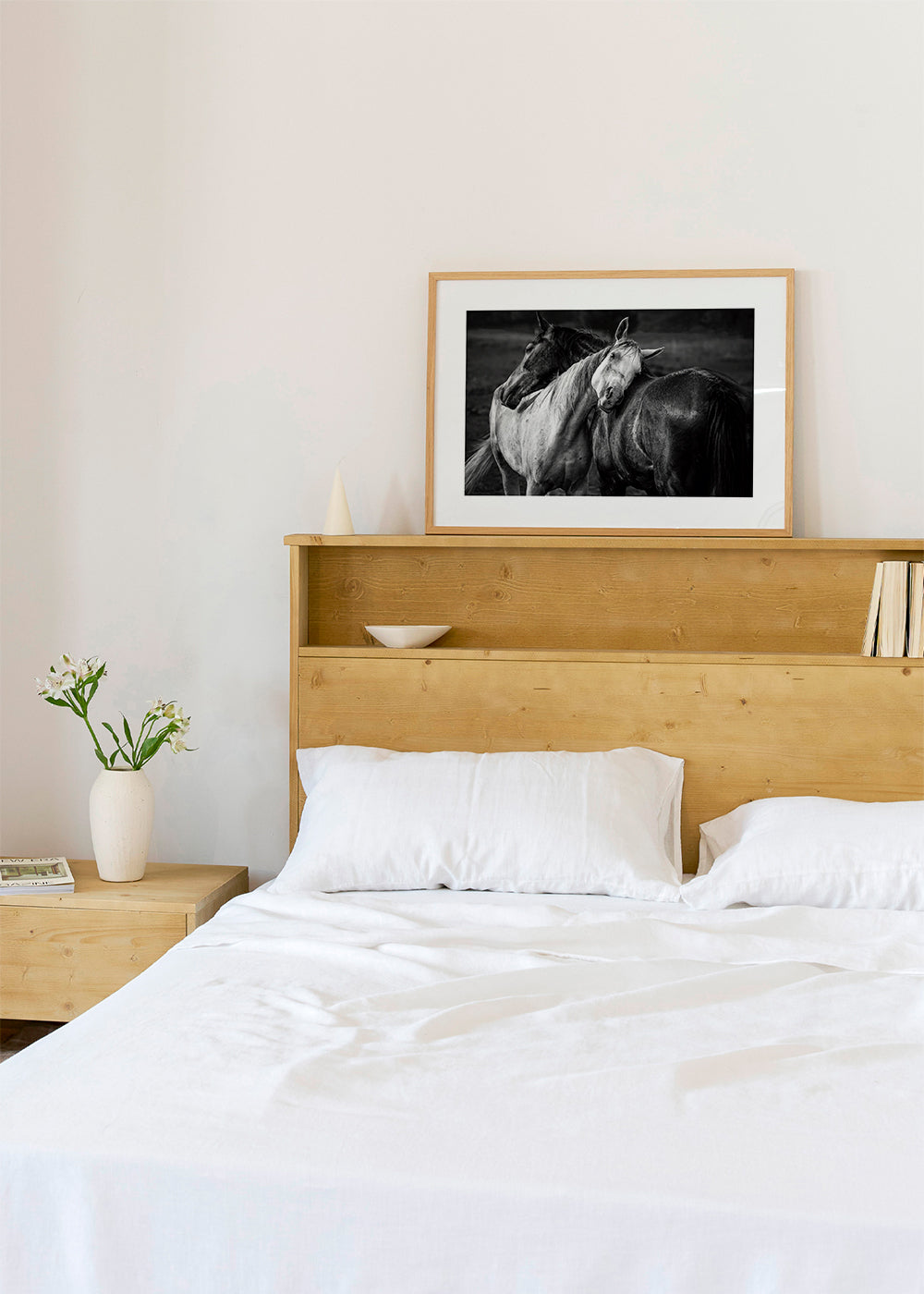 Fotografie koní v intimním gestu