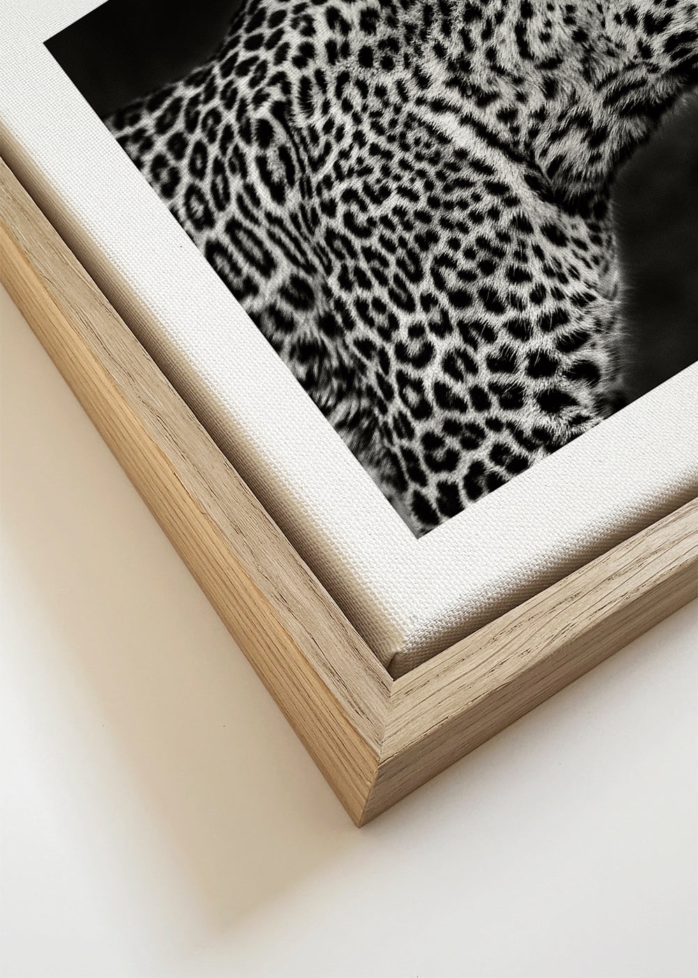 Leopard v profilu, fotografické dílo