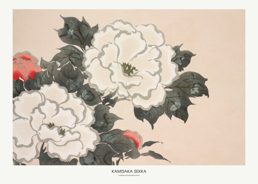 Botanický plakát: japonská studie květin