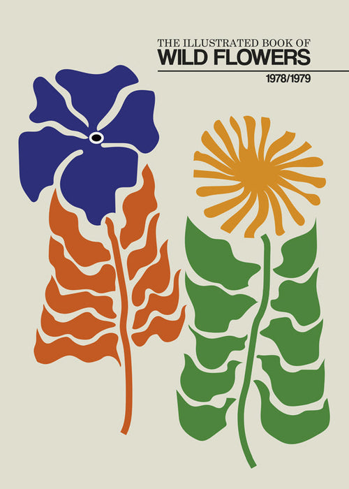 Botanický plakát: Divoké květiny grafika