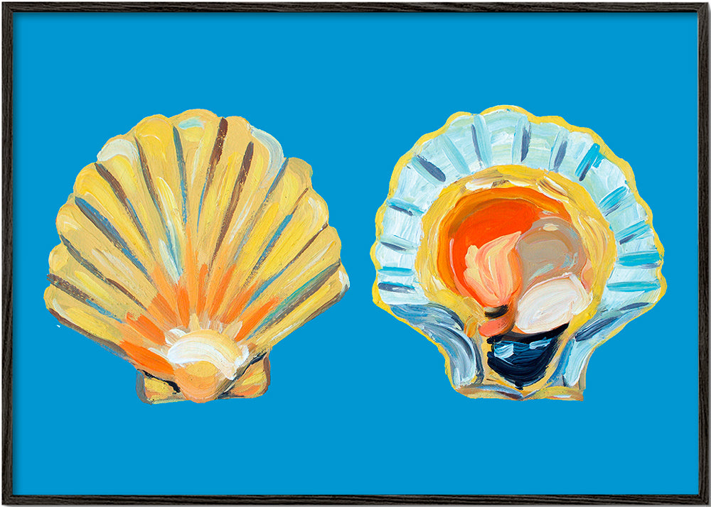 Scallops On Blue
