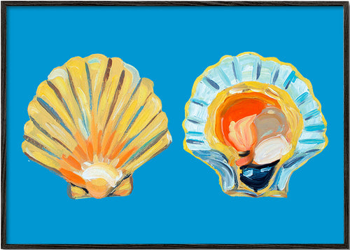 Ilustrace mušlí na modrém pozadí