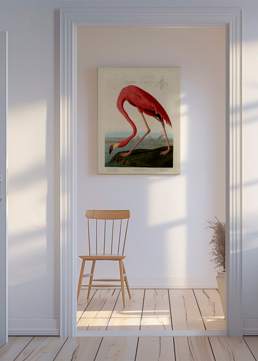 Obraz plameňák v Audubon stylu