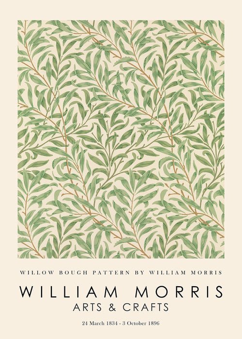 Botanický plakát Willow větve ve stylu Morris