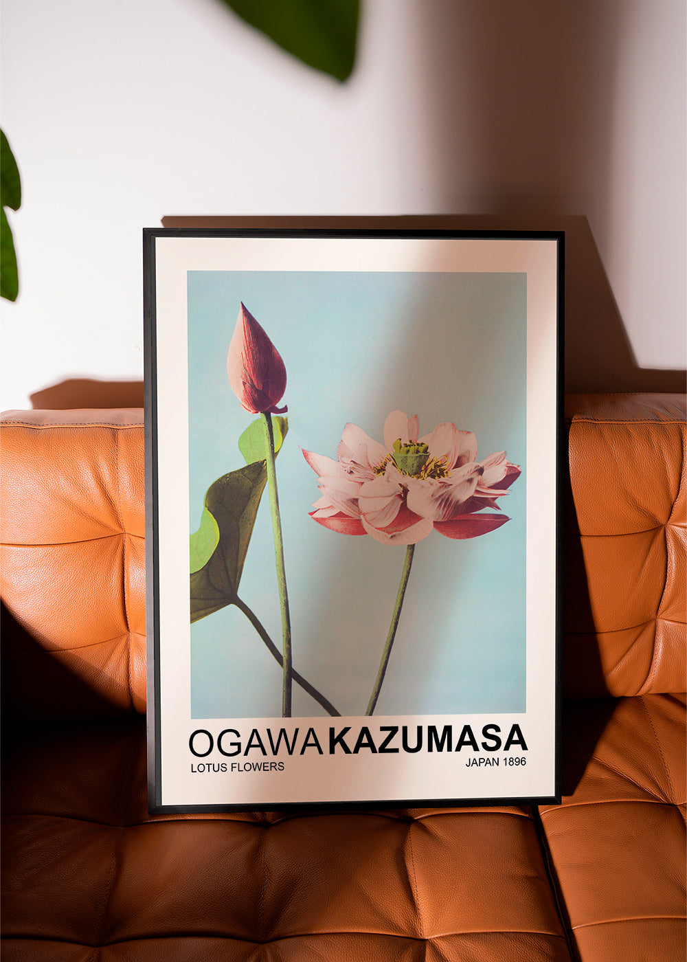 Botanický plakát: růžový lotos na modré obloze