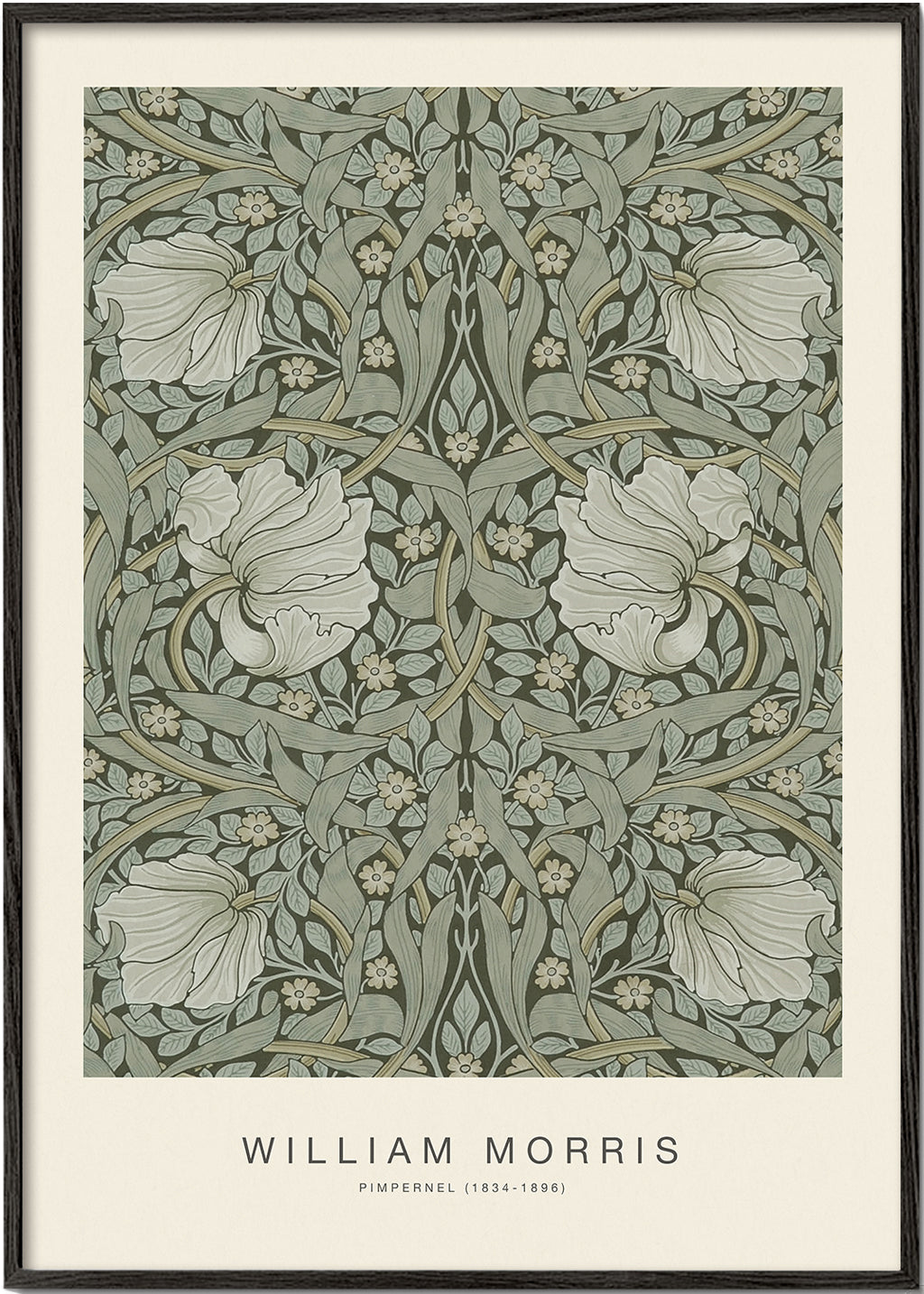 Botanický plakát Pimpernel William Morris