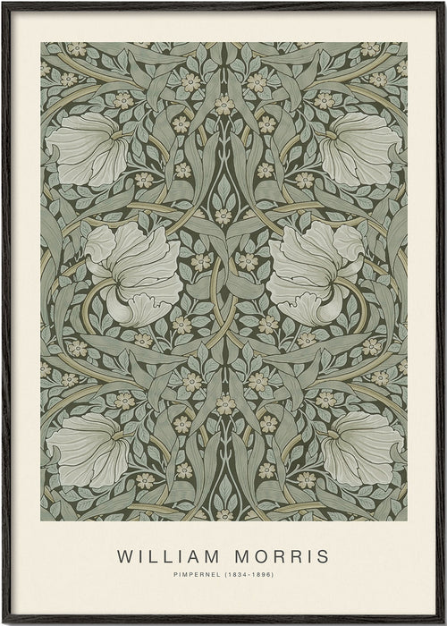 Botanický plakát Pimpernel William Morris
