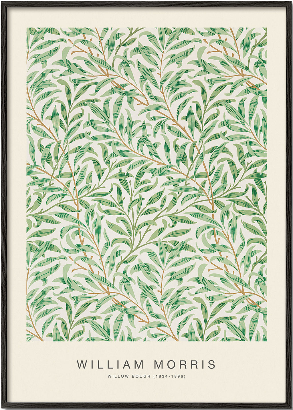 Botanický plakát Willow Bough listy