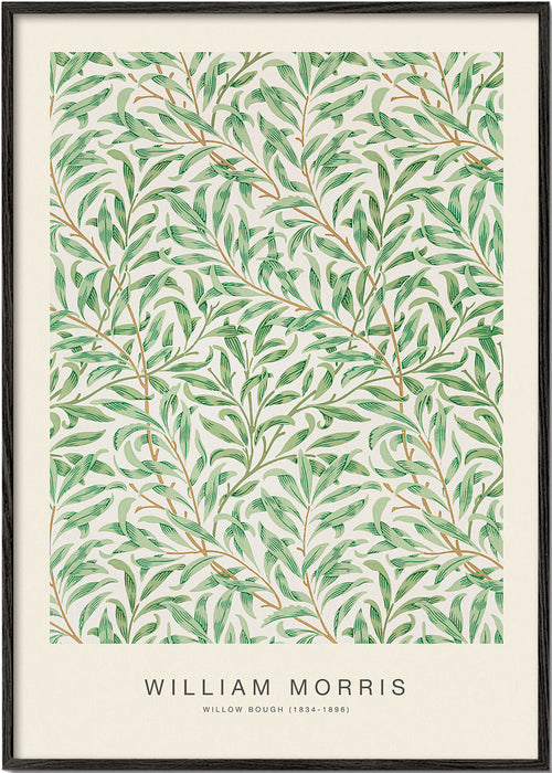 Botanický plakát Willow Bough listy