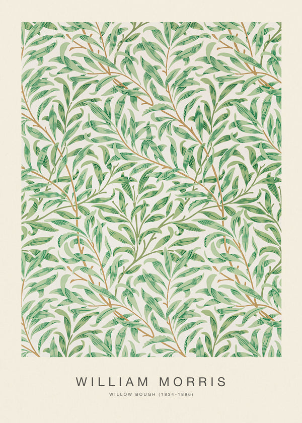 Botanický plakát Willow Bough listy