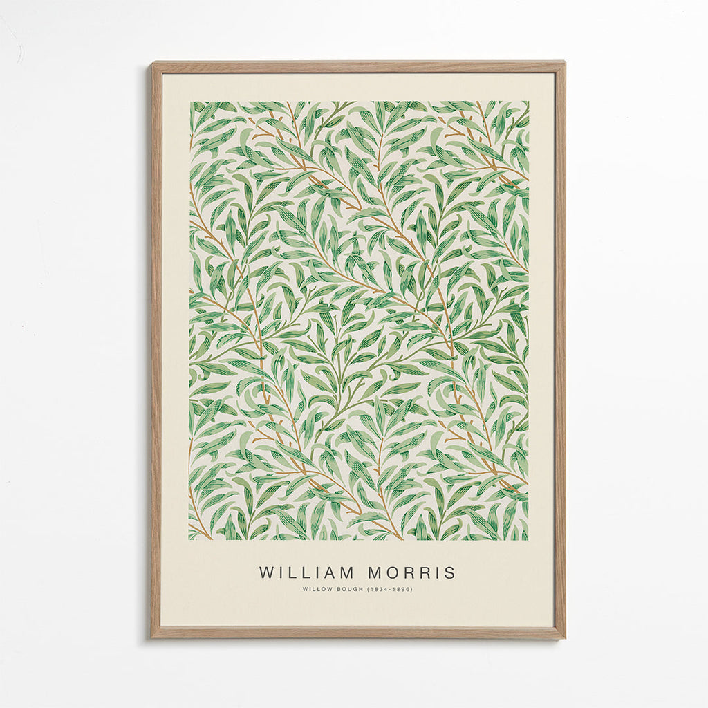 Botanický plakát Willow Bough listy