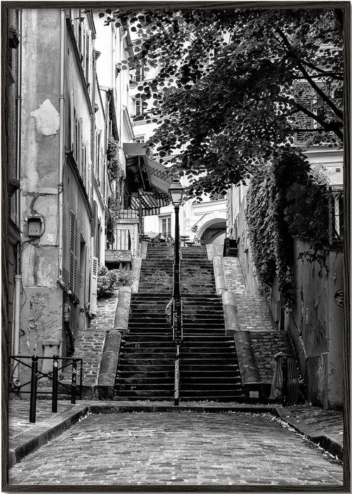 Obraz do kuchyně: Schody v Montmartre černobíle
