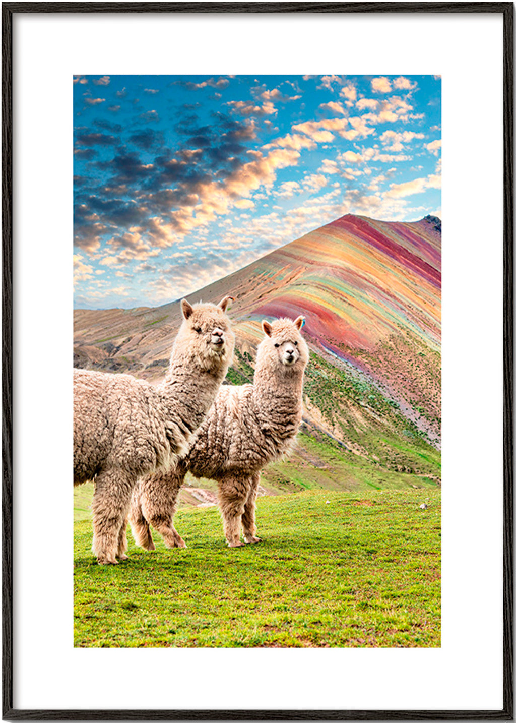 Obraz alpaky u duhové hory – Black Frame