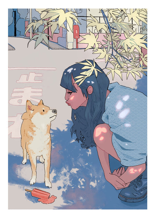 Ilustrace dívka a shiba