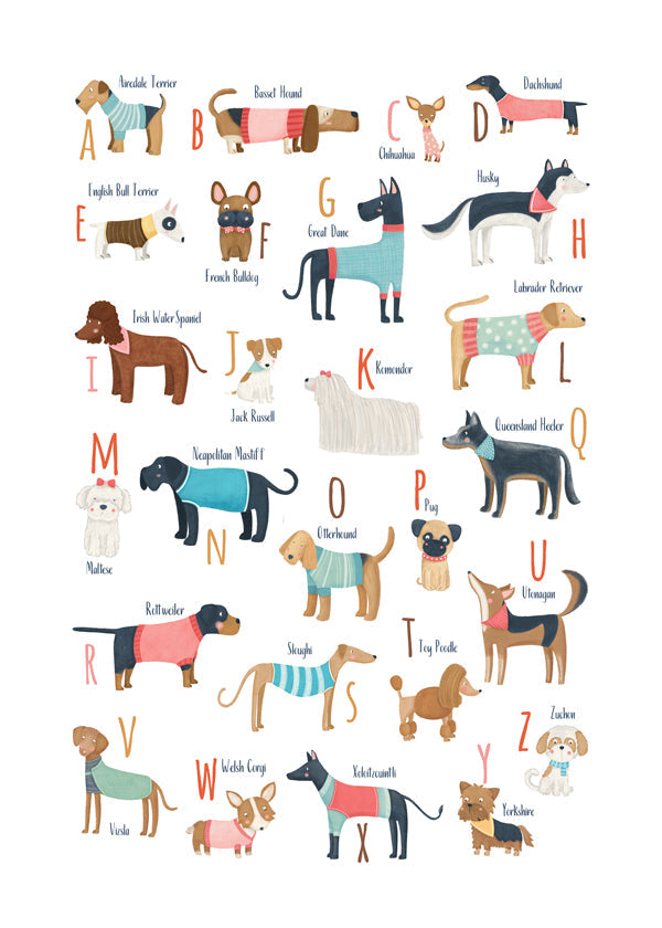 Ilustrace abeceda psů