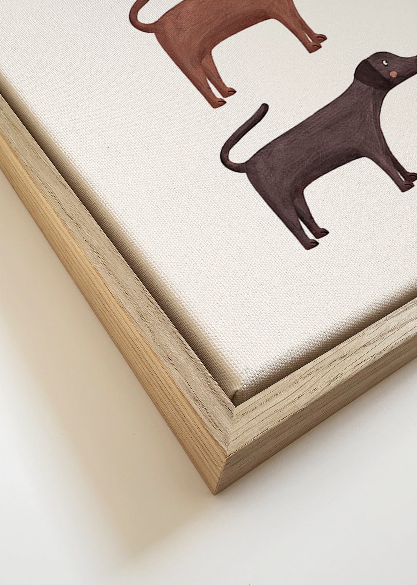 Obraz tři labradoři minimalistický