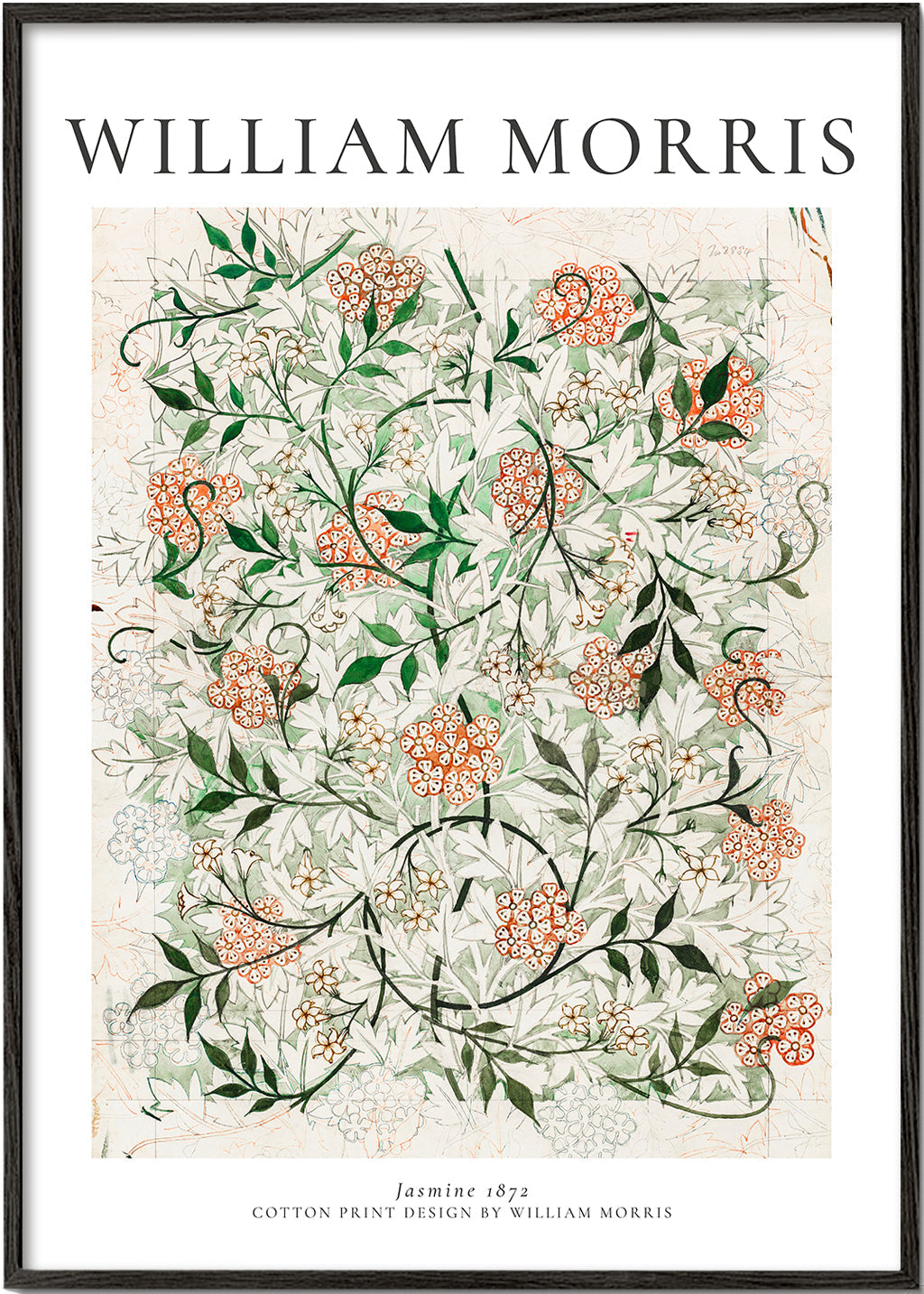 Botanický plakát s jasmínem William Morris