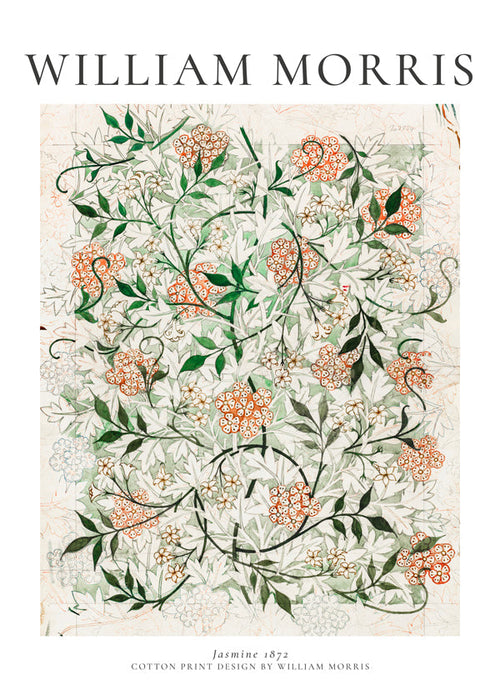 Botanický plakát s jasmínem William Morris